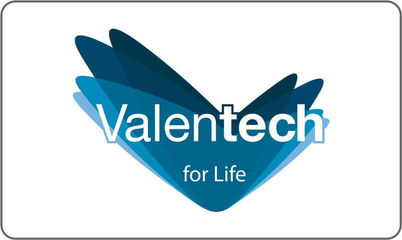 Logo Valentech
